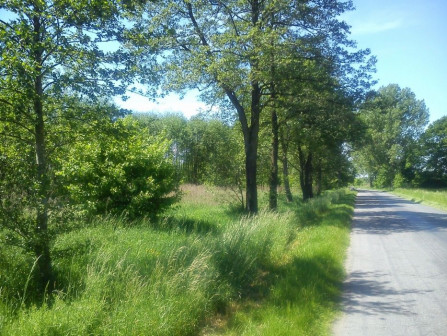 Działka budowlana Grędzina