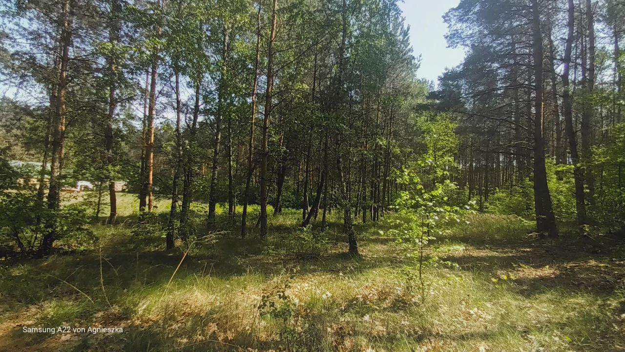 Działka budowlana Maciejewo. Zdjęcie 7