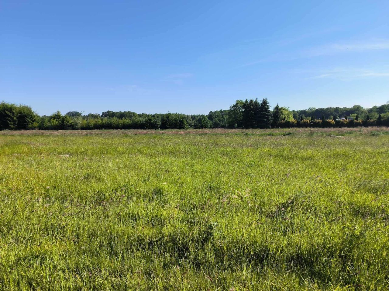 Działka rolno-budowlana Mysłaków, ul. Dąbrówek