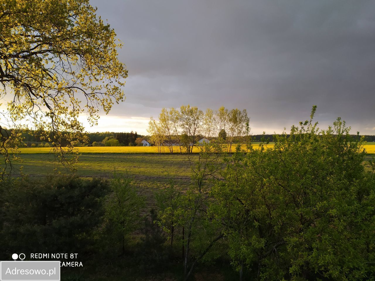 Działka rekreacyjna Rogóźno. Zdjęcie 2