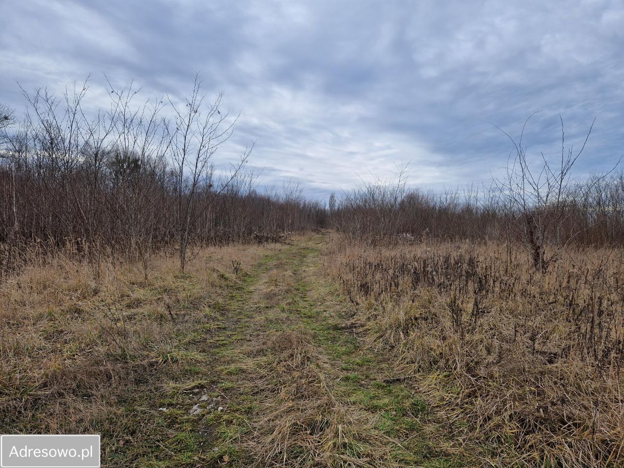 Działka budowlana Wojkowice, ul. Fabryczna. Zdjęcie 5