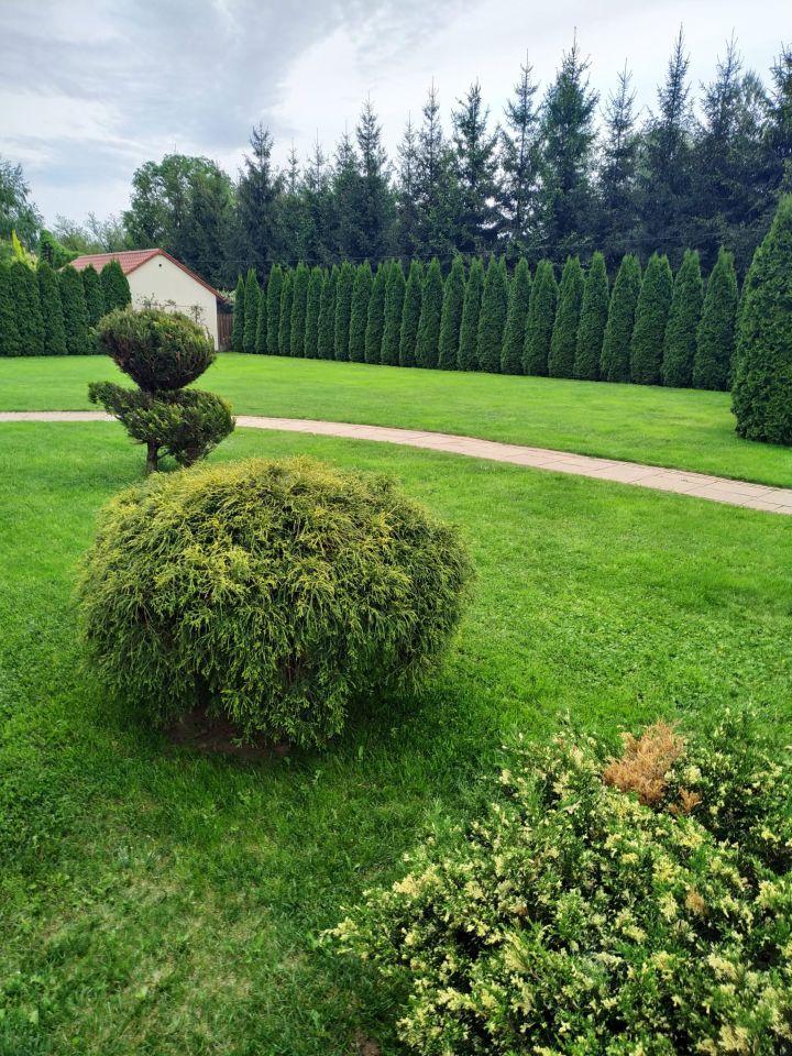 dom wolnostojący, 6 pokoi Mielec Smoczka, ul. Królowej Jadwigi. Zdjęcie 10