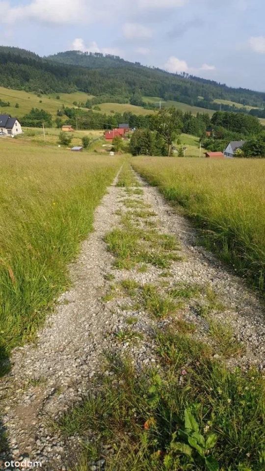 Działka rolna Walim, ul. Adama Mickiewicza. Zdjęcie 9