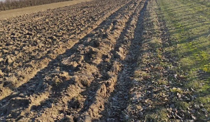 Działka rolna Ruszcza-Płaszczyzna, Ruszcza Płaszczyzna