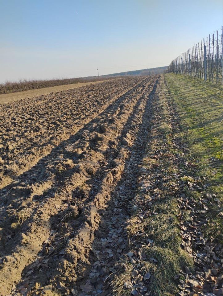 Działka rolna Ruszcza-Płaszczyzna, Ruszcza Płaszczyzna. Zdjęcie 1