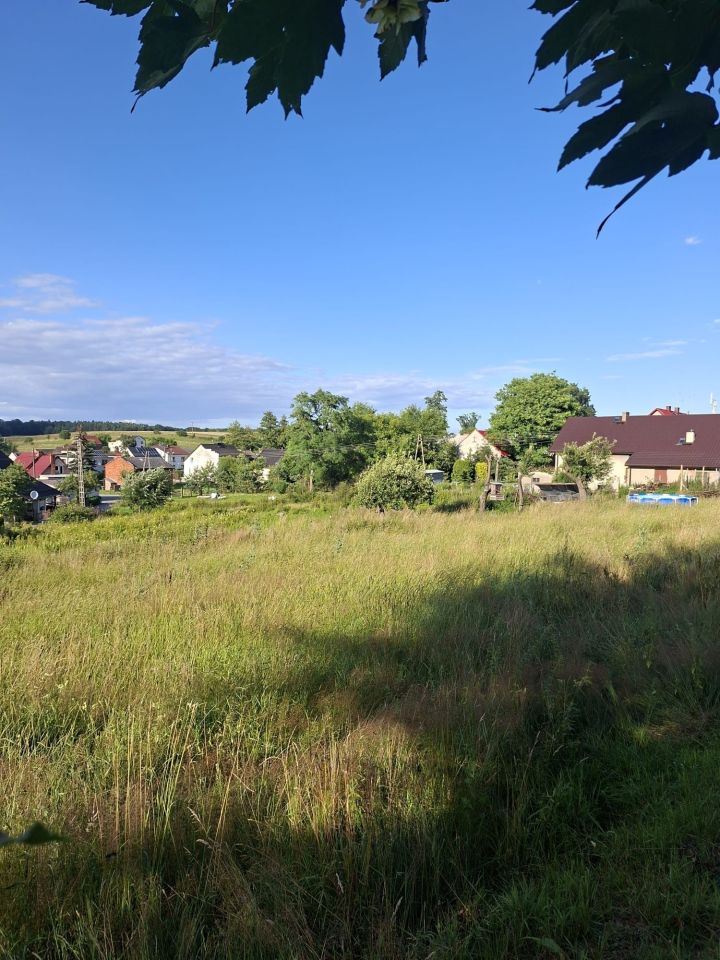 Działka inwestycyjna Widów. Zdjęcie 6