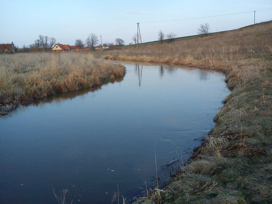Działka rolna Wilkiejmy. Zdjęcie 2