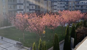 Mieszkanie 2-pokojowe Wrocław Tarnogaj, Klimasa