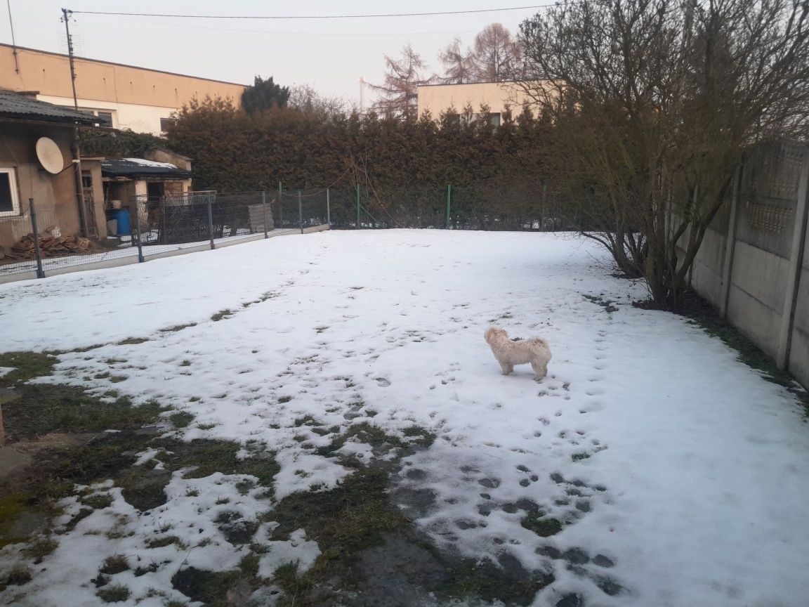 dom wolnostojący Jaworzno. Zdjęcie 6