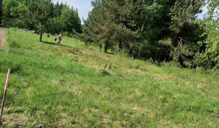 Działka rolno-budowlana Bielsk Podlaski, ul. Kleszczelowska