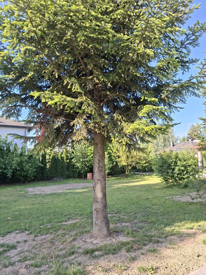 Działka budowlana Lublin Sławin, ul. Skowronkowa. Zdjęcie 3