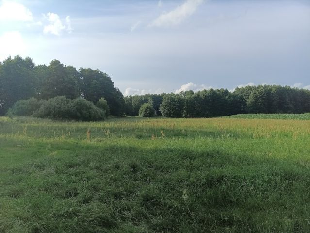 Działka rolna Krzeczanowo. Zdjęcie 1