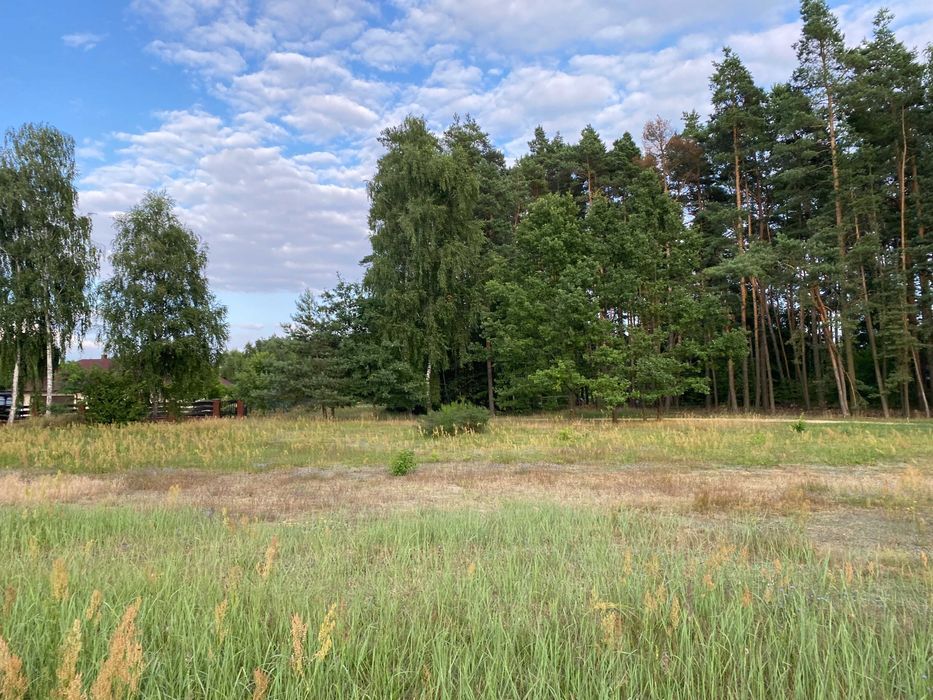 Działka rolno-budowlana Wierzchy Parzeńskie. Zdjęcie 4