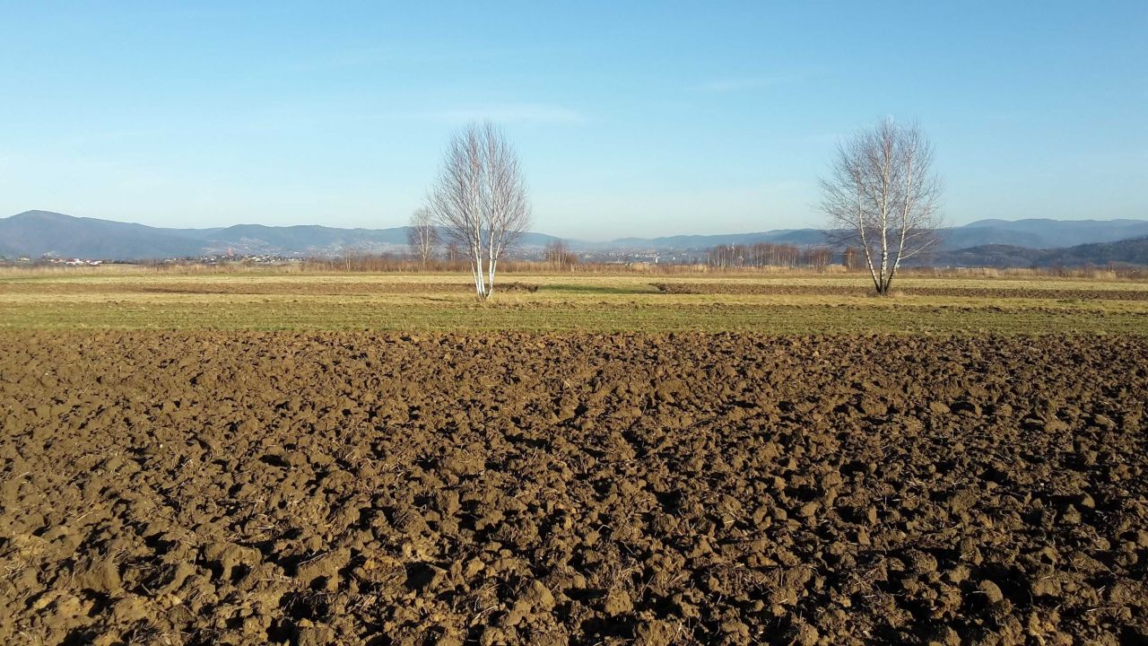 Działka budowlana Lipowa. Zdjęcie 7