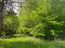 Działka rolno-budowlana Wojciechów-Kolonia Piąta. Zdjęcie 3