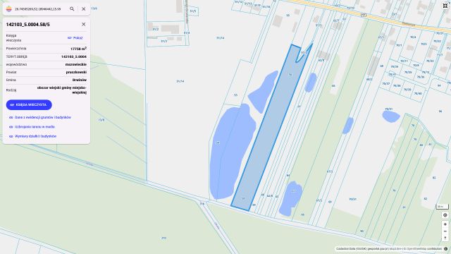 Działka rolna Domaniewek, ul. Baśniowa. Zdjęcie 1