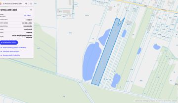 Działka rolna Domaniewek, ul. Baśniowa