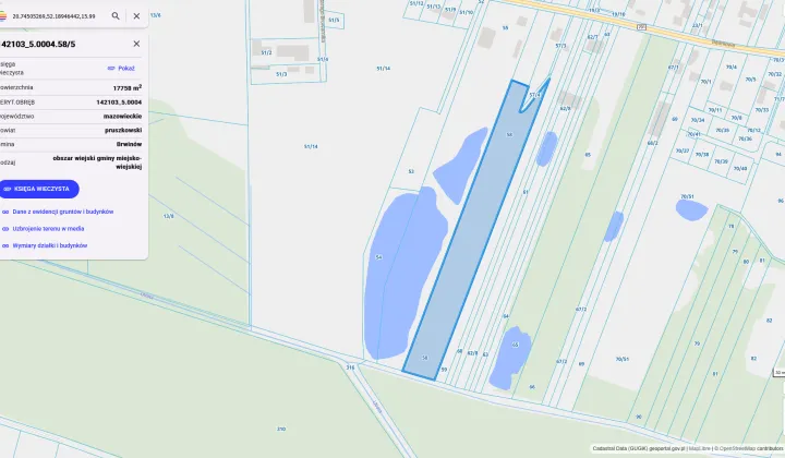 Działka rolna Domaniewek, ul. Baśniowa