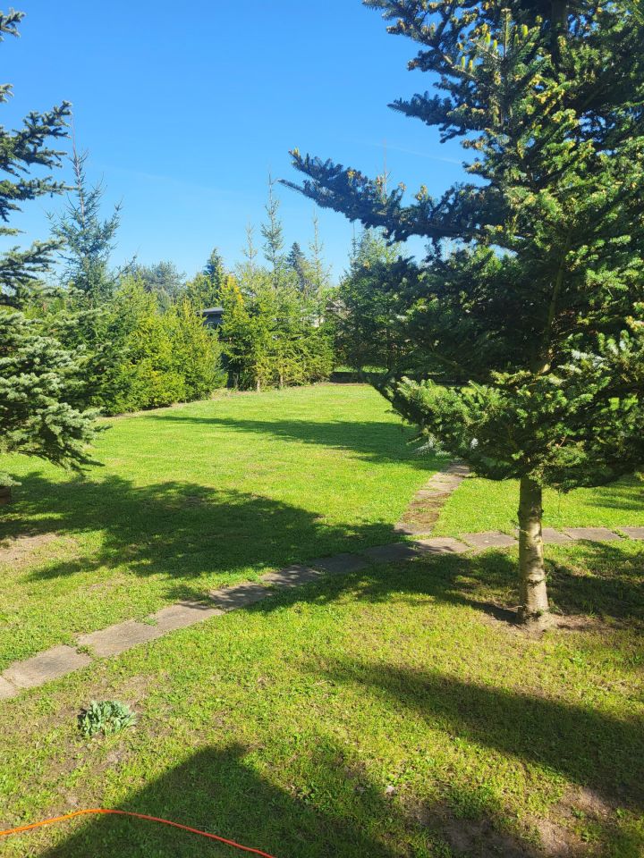 Działka rod Częstochowa Dźbów, Gronowa. Zdjęcie 8