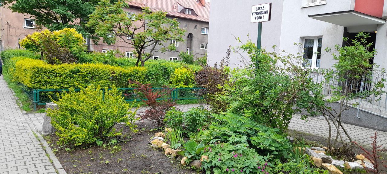 Mieszkanie 2-pokojowe Bytom, pl. Wojska Polskiego. Zdjęcie 8