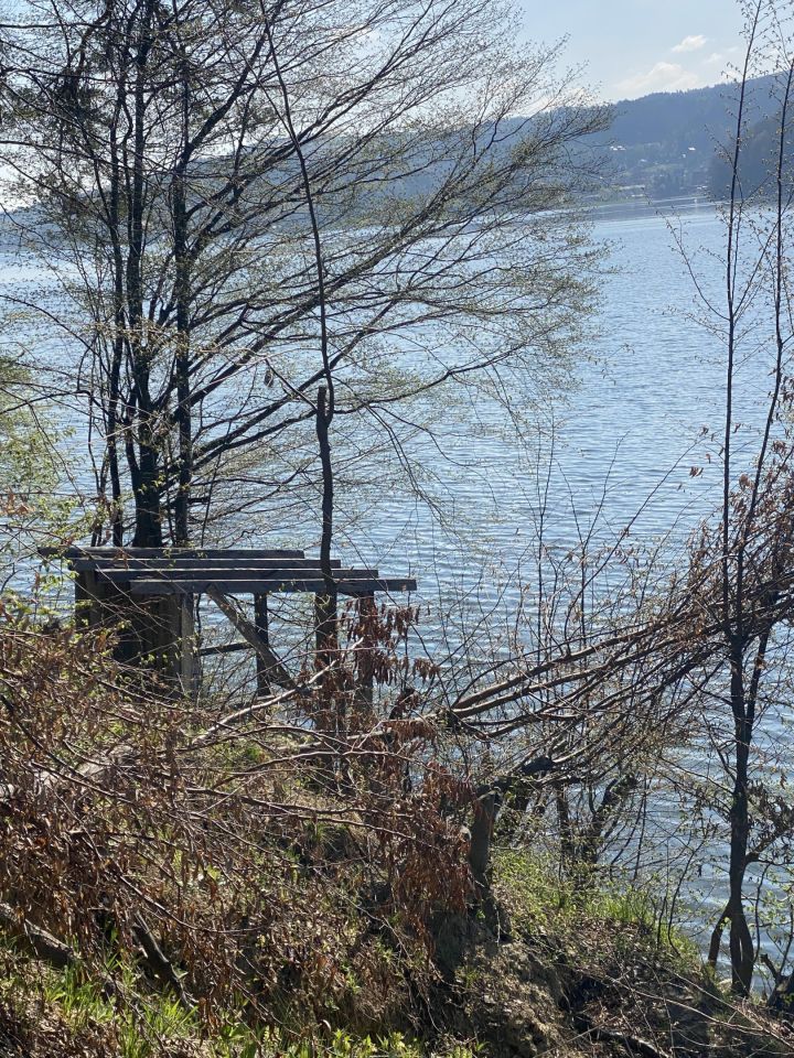 Działka leśna Rożnów Wiesiółka. Zdjęcie 3