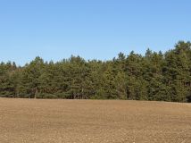 Działka rolna Czarna Woda Huta Kalna. Zdjęcie 4