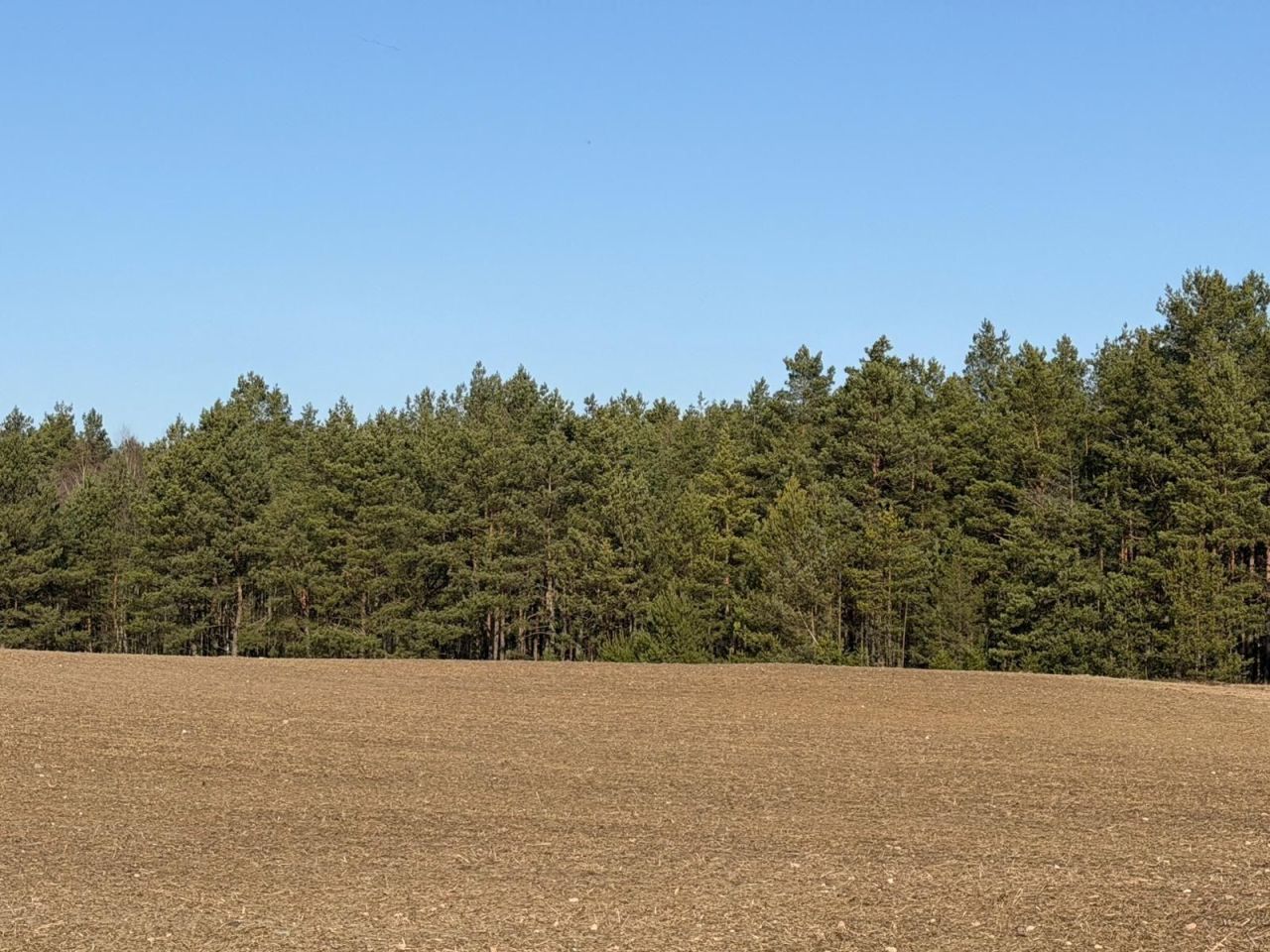 Działka rolna Czarna Woda Huta Kalna. Zdjęcie 5
