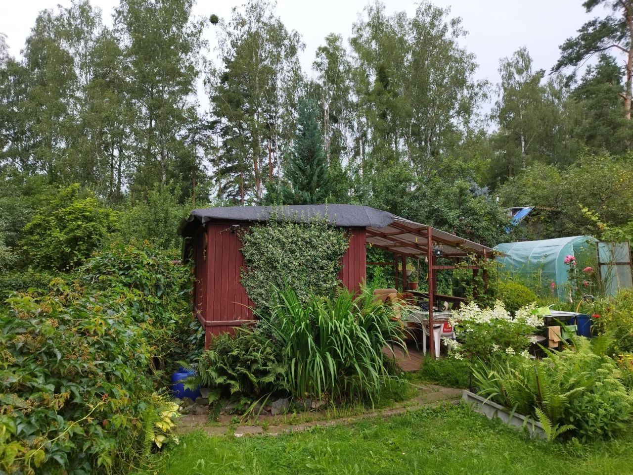 Działka rod Klebark Mały. Zdjęcie 2