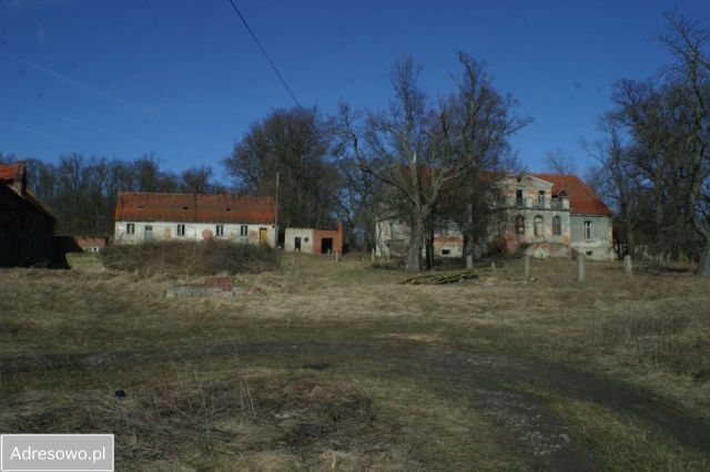 Działka siedliskowa Rogów Wołowski. Zdjęcie 1