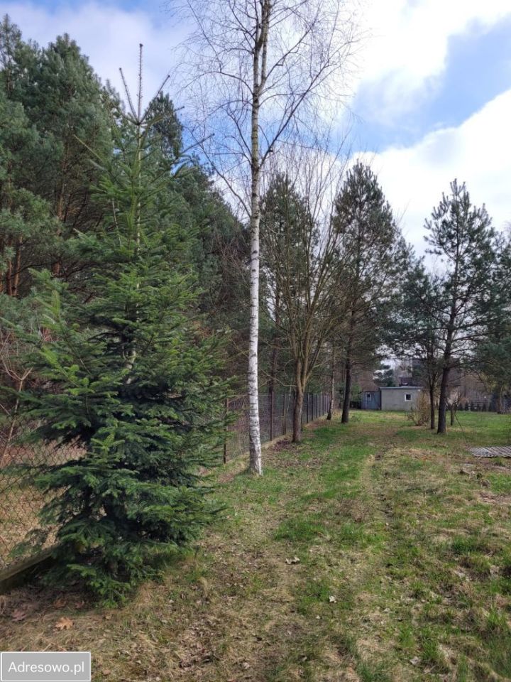 Działka budowlana Płachty. Zdjęcie 8