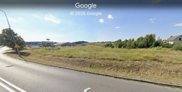 Działka rolna Borkowo. Zdjęcie 4