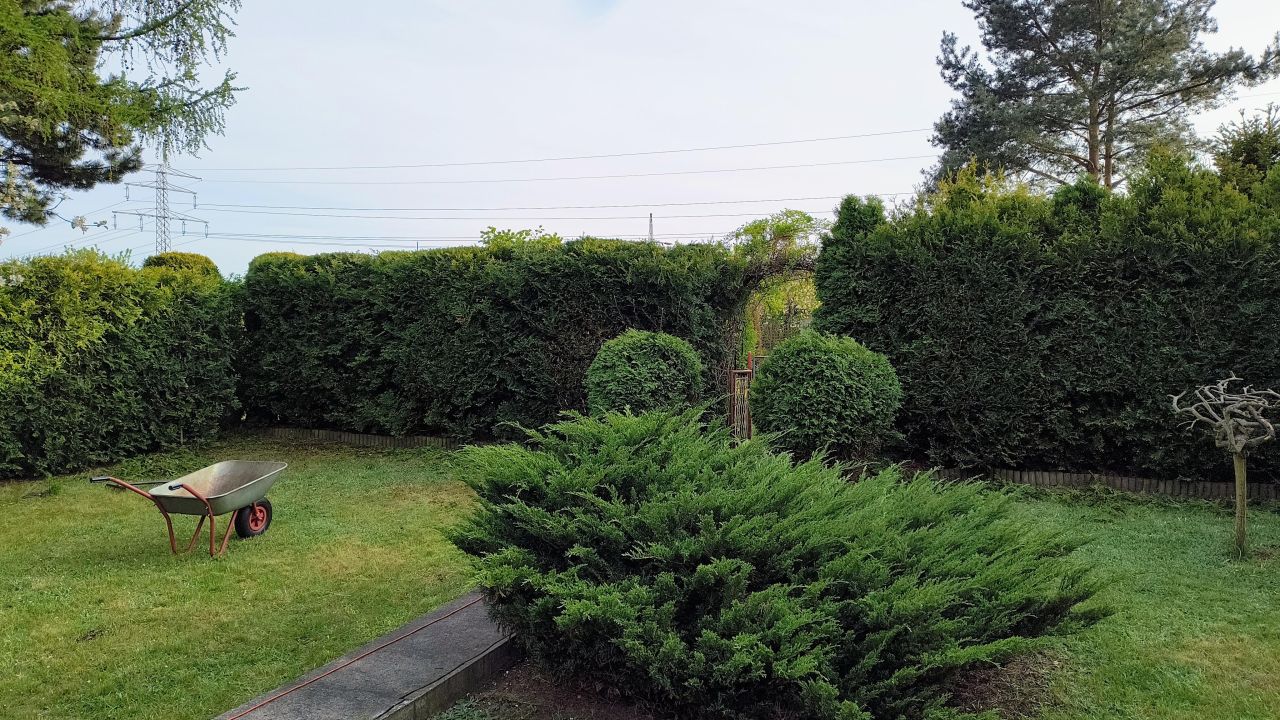 Działka rod Sosnowiec Niwka, ul. Portowa. Zdjęcie 11