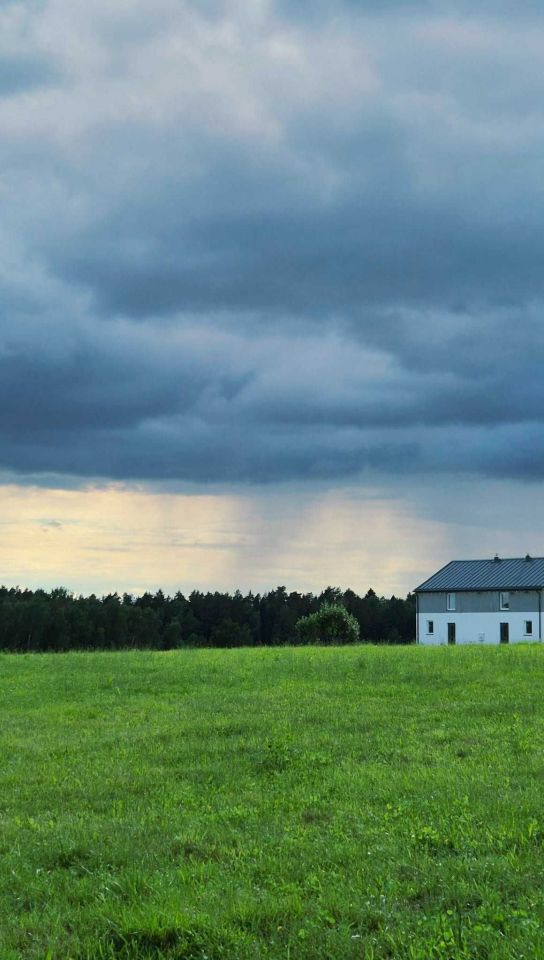 bliźniak Łęgajny. Zdjęcie 5