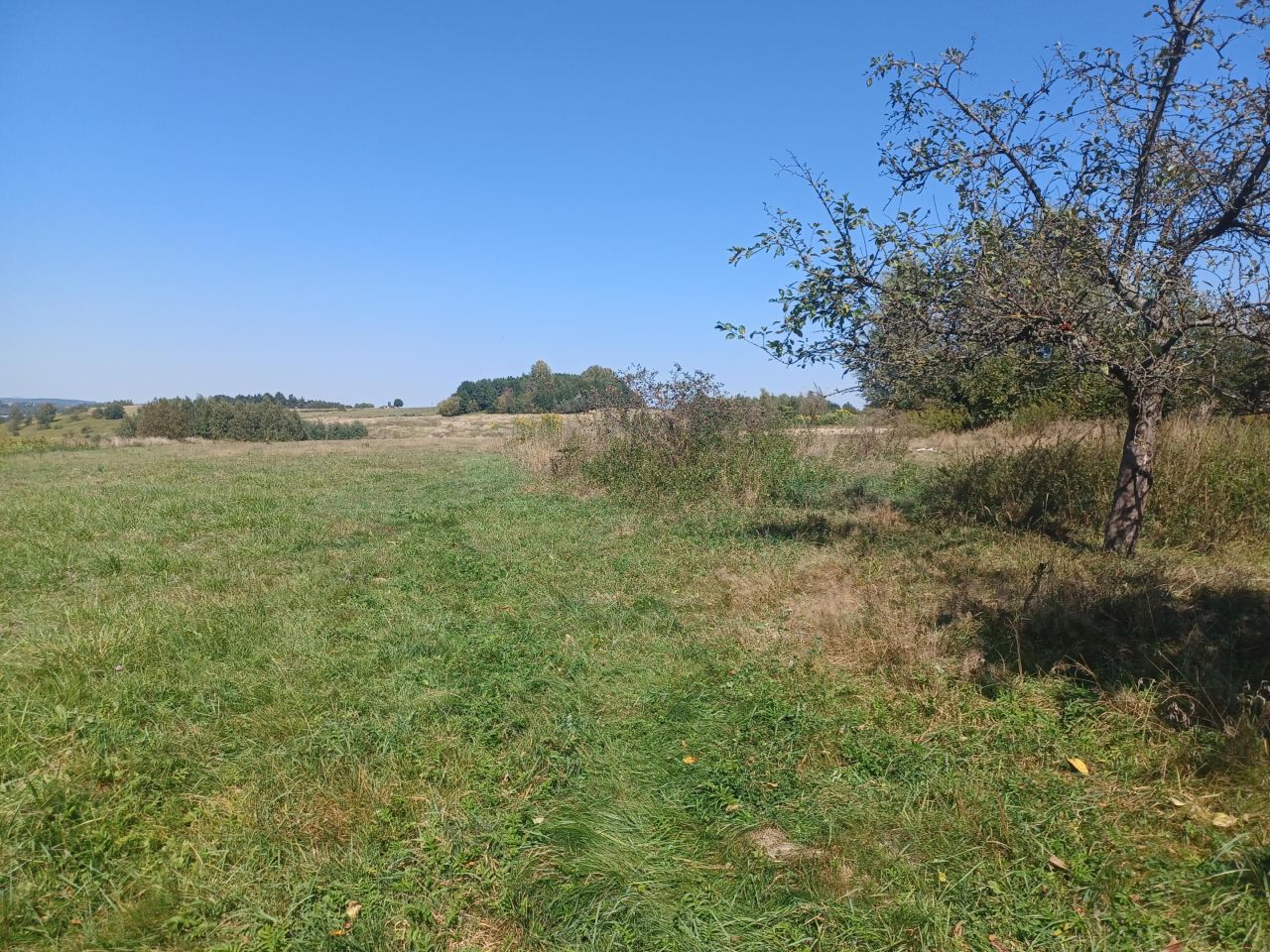 Działka rolno-budowlana Korczyna. Zdjęcie 3