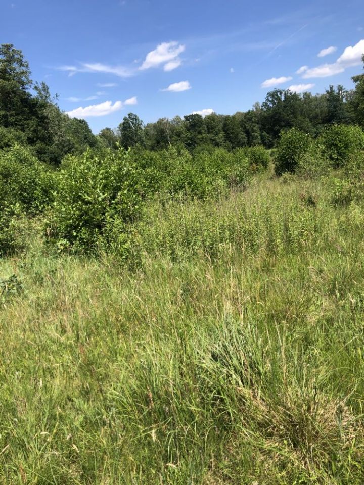 Działka budowlana Benenard, ul. Bukowa. Zdjęcie 4