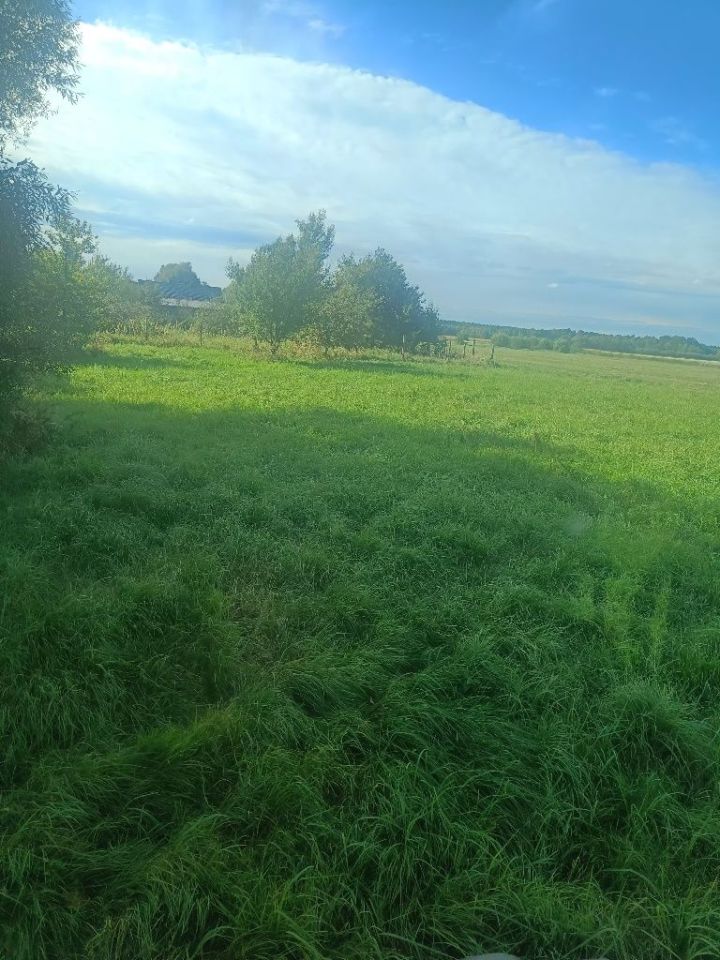 Działka budowlana Nowa Wieś Goszczańska Kuźnia Goszczańska. Zdjęcie 5