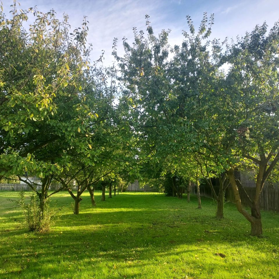 dom wolnostojący, 3 pokoje Siedliska. Zdjęcie 7