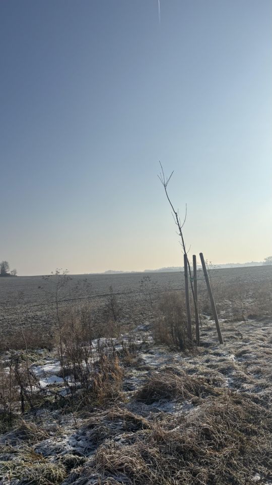 Działka budowlana Dołgie. Zdjęcie 4