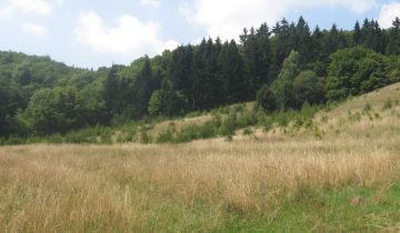 Działka leśna Żdanów