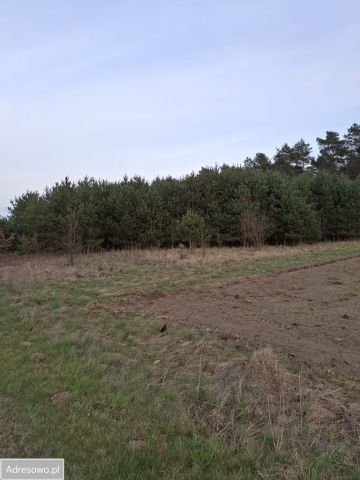 Działka budowlana Grabina Wielka. Zdjęcie 1