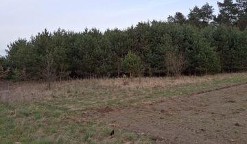 Działka budowlana Grabina Wielka
