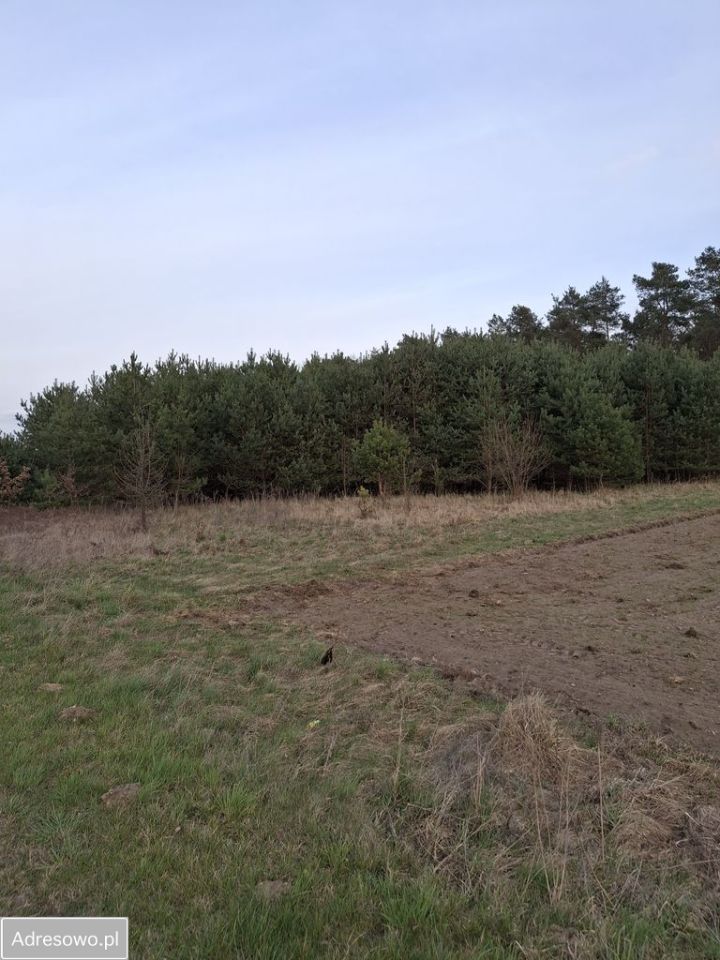 Działka budowlana Grabina Wielka