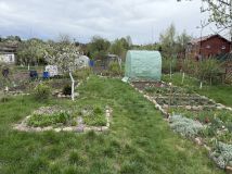 Działka rod Szczecinek, ul. Sienkiewicza. Zdjęcie 2