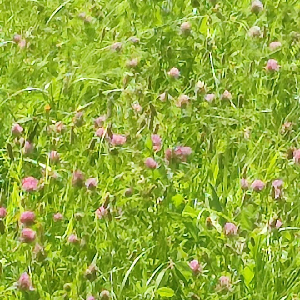 Działka rolna Rumy. Zdjęcie 2