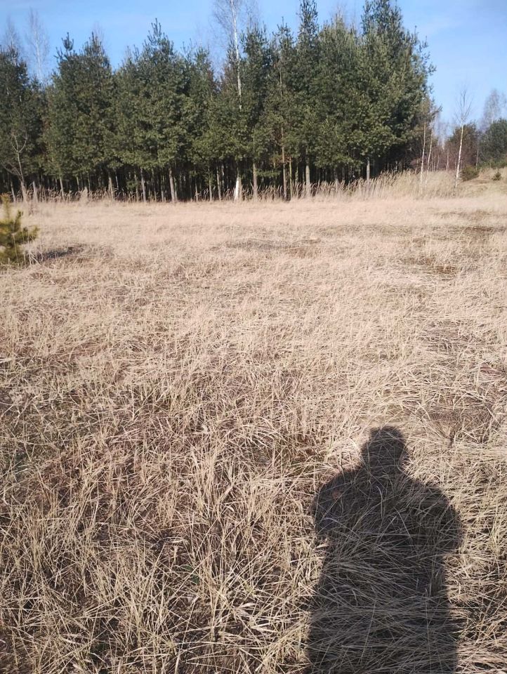 Działka rolno-budowlana Dębniak. Zdjęcie 5