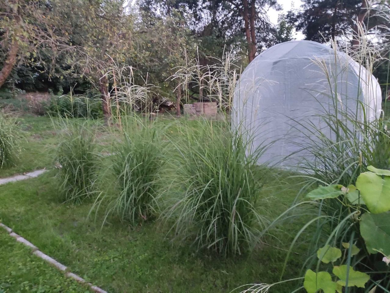 Działka rod Lublin. Zdjęcie 6