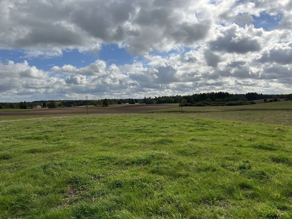 Działka rolno-budowlana Odry. Zdjęcie 6