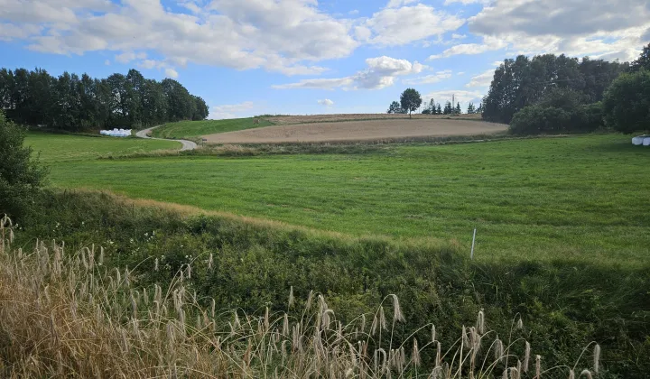 Działka siedliskowa Łebno, ul. Morenowa