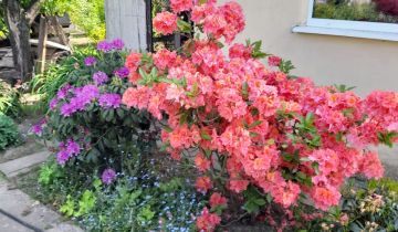 Działka rod Lubin Przylesie, ul. Józefa Piłsudskiego