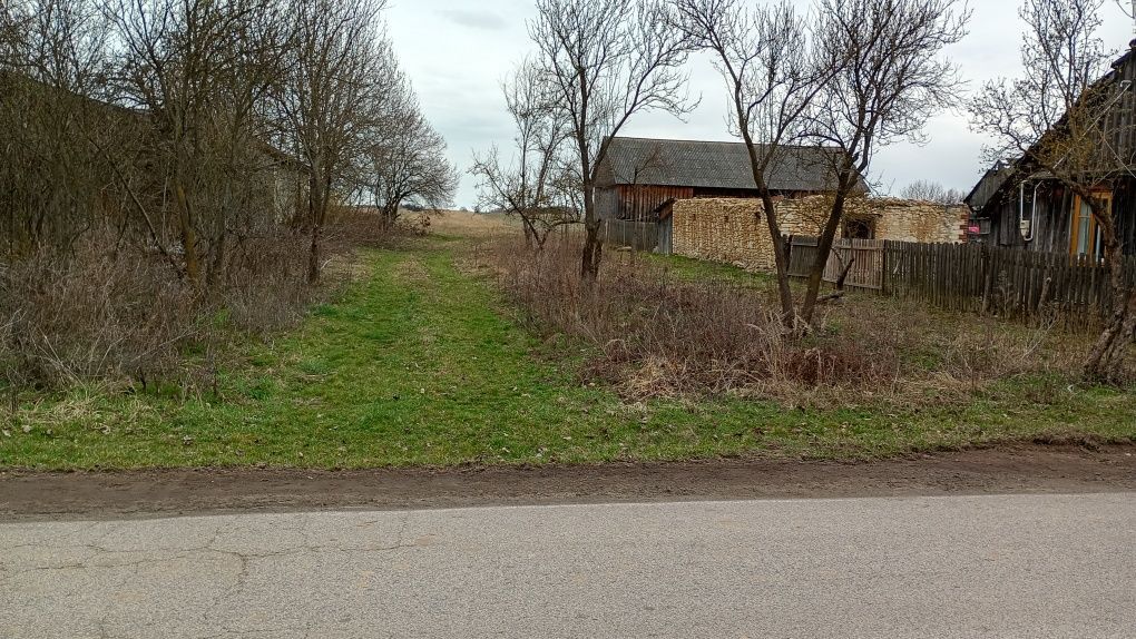 Działka rolna Tomaszów. Zdjęcie 3